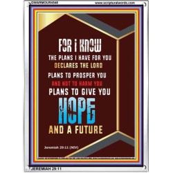 THE PLANS I HAVE FOR YOU   Inspiration Frame   (GWARMOUR4548)   