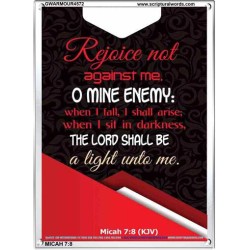 THE LORD SHALL BE A LIGHT UNTO ME   Inspirational Bible Verses Framed   (GWARMOUR4572)   