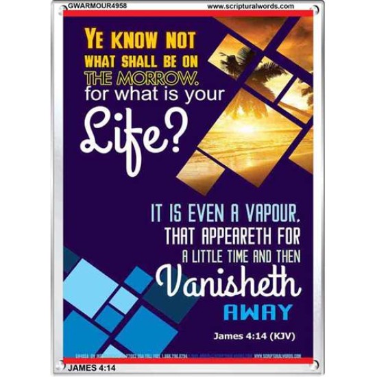 WHAT IS YOUR LIFE   Framed Bible Verses   (GWARMOUR4958)   