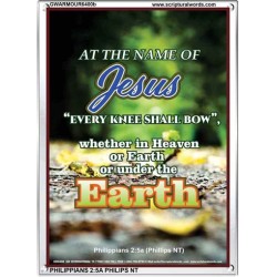 AT THE NAME OF JESUS   Framed Bible Verses   (GWARMOUR6400b)   