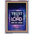 TRUST IN THE LORD   Bible Scriptures on Forgiveness Frame   (GWARMOUR6515)   "12X18"