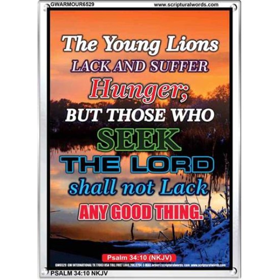 THE YOUNG LIONS LACK AND SUFFER   Acrylic Glass Frame Scripture Art   (GWARMOUR6529)   