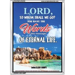 WORDS OF ETERNAL LIFE   Biblical Art Acrylic Glass Frame    (GWARMOUR6559)   "12X18"