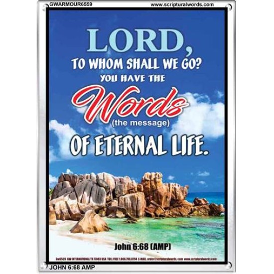 WORDS OF ETERNAL LIFE   Biblical Art Acrylic Glass Frame    (GWARMOUR6559)   