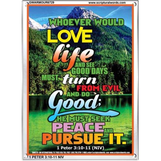 TURN FROM EVIL AND DO GOOD   Scriptural Wall Art   (GWARMOUR6729)   