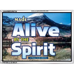 ALIVE BY THE SPIRIT   Framed Guest Room Wall Decoration   (GWARMOUR6736)   