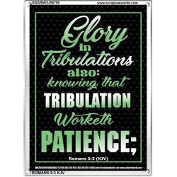 TRIBULATION WORKETH PATIENCE   Scripture Wood Framed Signs   (GWARMOUR6759)   