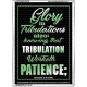 TRIBULATION WORKETH PATIENCE   Scripture Wood Framed Signs   (GWARMOUR6759)   