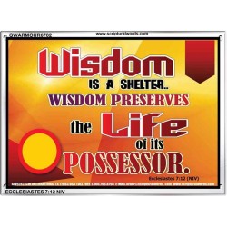 WISDOM   Framed Bible Verse   (GWARMOUR6782)   "18X12"