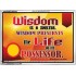 WISDOM   Framed Bible Verse   (GWARMOUR6782)   "18X12"