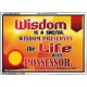 WISDOM   Framed Bible Verse   (GWARMOUR6782)   