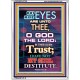 TRUST IN THE LORD   Bible Verses Frame for Home   (GWARMOUR7238)   