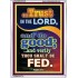 TRUST IN THE LORD   Bible Verse Picture Frame Gift   (GWARMOUR7421)   "12X18"