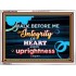 WALK IN INTEGRITY   Unique Bible Verse Frame   (GWARMOUR7559)   "18X12"