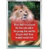 TRAMPLE UNDER LION AND DRAGON   Encouraging Bible Verses Frame   (GWARMOUR760)   "12X18"