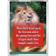 TRAMPLE UNDER LION AND DRAGON   Encouraging Bible Verses Frame   (GWARMOUR760)   