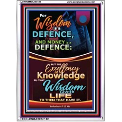 WISDOM A DEFENCE   Bible Verses Framed for Home   (GWARMOUR7729)   "12X18"