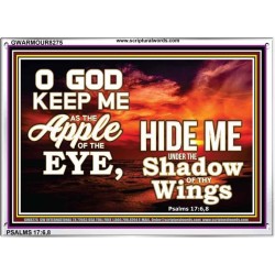 UNDER THE SHADOW OF THY WINGS   Frame Scriptural Wall Art   (GWARMOUR8275)   "18X12"