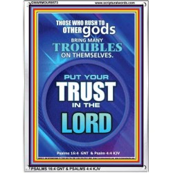 TRUST IN THE LORD   Framed Bible Verse   (GWARMOUR8573)   