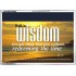 WALK IN WISDOM   Bible Verse Wall Art   (GWARMOUR865)   "18X12"