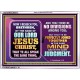 UNITY   Christian Framed Wall Art   (GWARMOUR9073)   