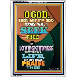 YOUR LOVING KINDNESS IS BETTER THAN LIFE   Biblical Paintings Acrylic Glass Frame   (GWARMOUR9239)   "12X18"