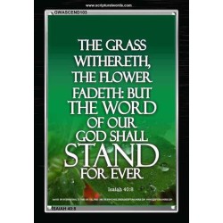 THE WORD OF GOD STAND FOREVER   Framed Scripture Art   (GWASCEND103)   