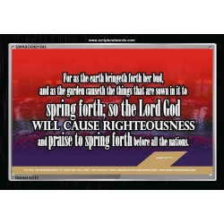 THE LORD GOD WILL CAUSE RIGHTEOUSNESS   Large Framed Scripture Wall Art   (GWASCEND1543)   