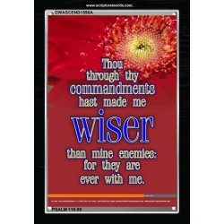 WISER THAN MINE ENEMIES   Scriptural Portrait Wooden Frame   (GWASCEND1590A)   "25x33"