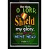 A SHIELD FOR ME   Bible Verses For the Kids Frame    (GWASCEND1752)   "25x33"