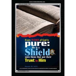 TRUST IN HIM   Scripture Art Frame   (GWASCEND1763)   "25x33"