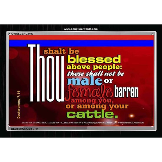 THERE SHALL NOT BE MALE OR FEMALE BARREN   Christian Quote Frame   (GWASCEND3497)   