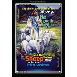 THEY KNOW HIS VOICE   Contemporary Christian Poster   (GWASCEND3504)   