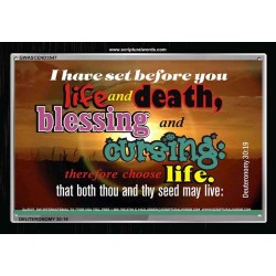 SET BEFORE YOU LIFE AND DEATH   Bible Verse Framed Art   (GWASCEND3547)   