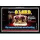 THOU O LORD   Large Framed Scripture Wall Art   (GWASCEND3552)   