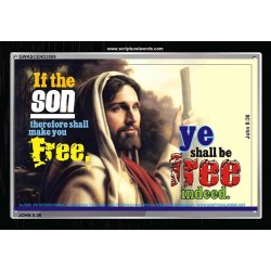 THE SON SHALL MAKE YOU FREE   Bible Verse Framed for Home Online   (GWASCEND3589)   