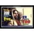 THE SON SHALL MAKE YOU FREE   Bible Verse Framed for Home Online   (GWASCEND3589)   "33x25"