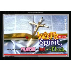WALK IN THE SPIRIT   Framed Bible Verse   (GWASCEND3720)   