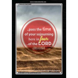 THE TIME OF YOUR SOJOURNING   Frame Bible Verse   (GWASCEND3909)   