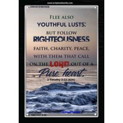 YOUTHFUL LUSTS   Bible Verses to Encourage  frame   (GWASCEND3939)   "25x33"