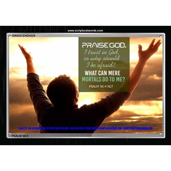 TRUST IN GOD   Framed Bible Verse   (GWASCEND4228)   