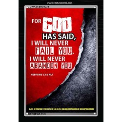 WILL NEVER FAIL YOU   Framed Scripture Dcor   (GWASCEND4239)   "25x33"