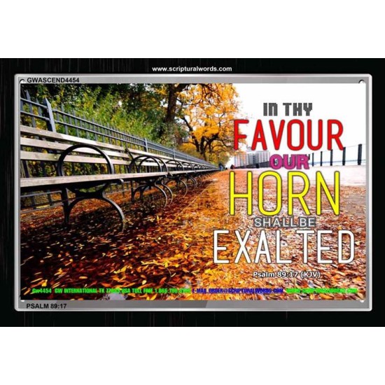 THY FAVOUR   Framed Bible Verse Online   (GWASCEND4454)   