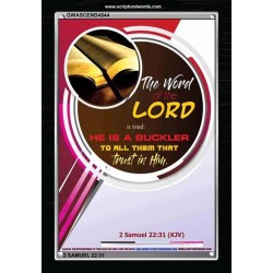 THE WORD OF THE LORD   Framed Hallway Wall Decoration   (GWASCEND4544)   