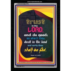 TRUST IN THE LORD   Bible Verses Framed Art   (GWASCEND4779)   "25x33"