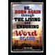 BE BORN AGAIN   Bible Verses Poster   (GWASCEND6496)   