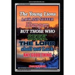 THE YOUNG LIONS LACK AND SUFFER   Acrylic Glass Frame Scripture Art   (GWASCEND6529)   