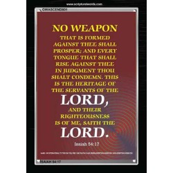 ABSOLUTE NO WEAPON    Christian Wall Art Poster   (GWASCEND801)   