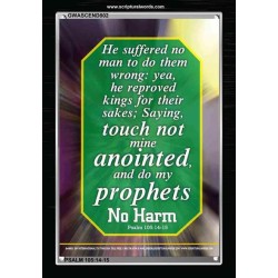 TOUCH NOT MINE ANOINTED   Bible Verse Wall Art Frame   (GWASCEND802)   "25x33"