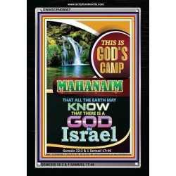 THERE IS A GOD IN ISRAEL   Bible Verses Framed for Home Online   (GWASCEND8057)   
